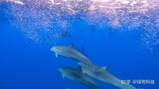 世界海洋日丨“蓝色循环”：渔民把海洋废塑料变成宝