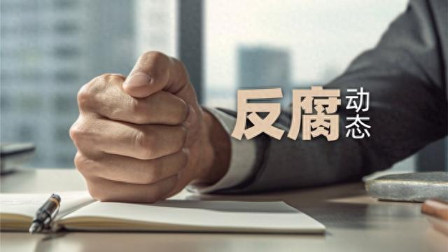王晖参赞会见几内亚安全和民事保护部长