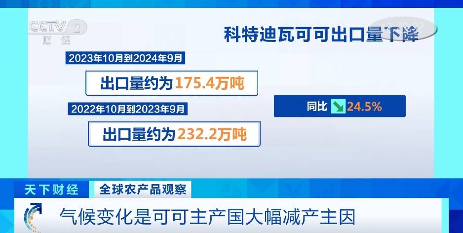 科特迪瓦可可种植业面临诸多挑战