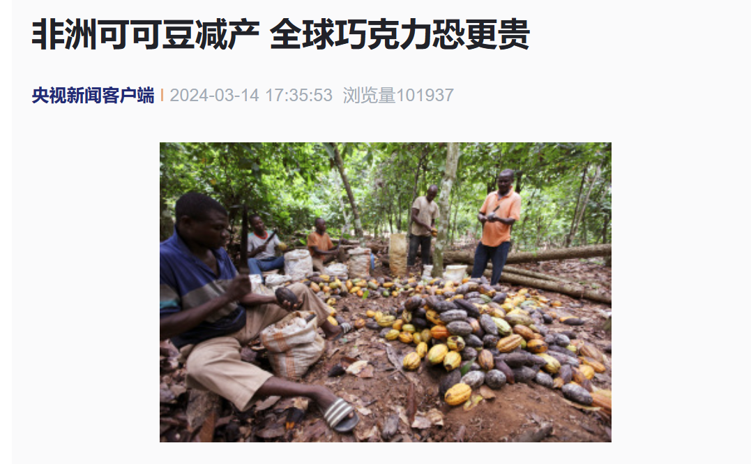 科特迪瓦可可种植业面临诸多挑战