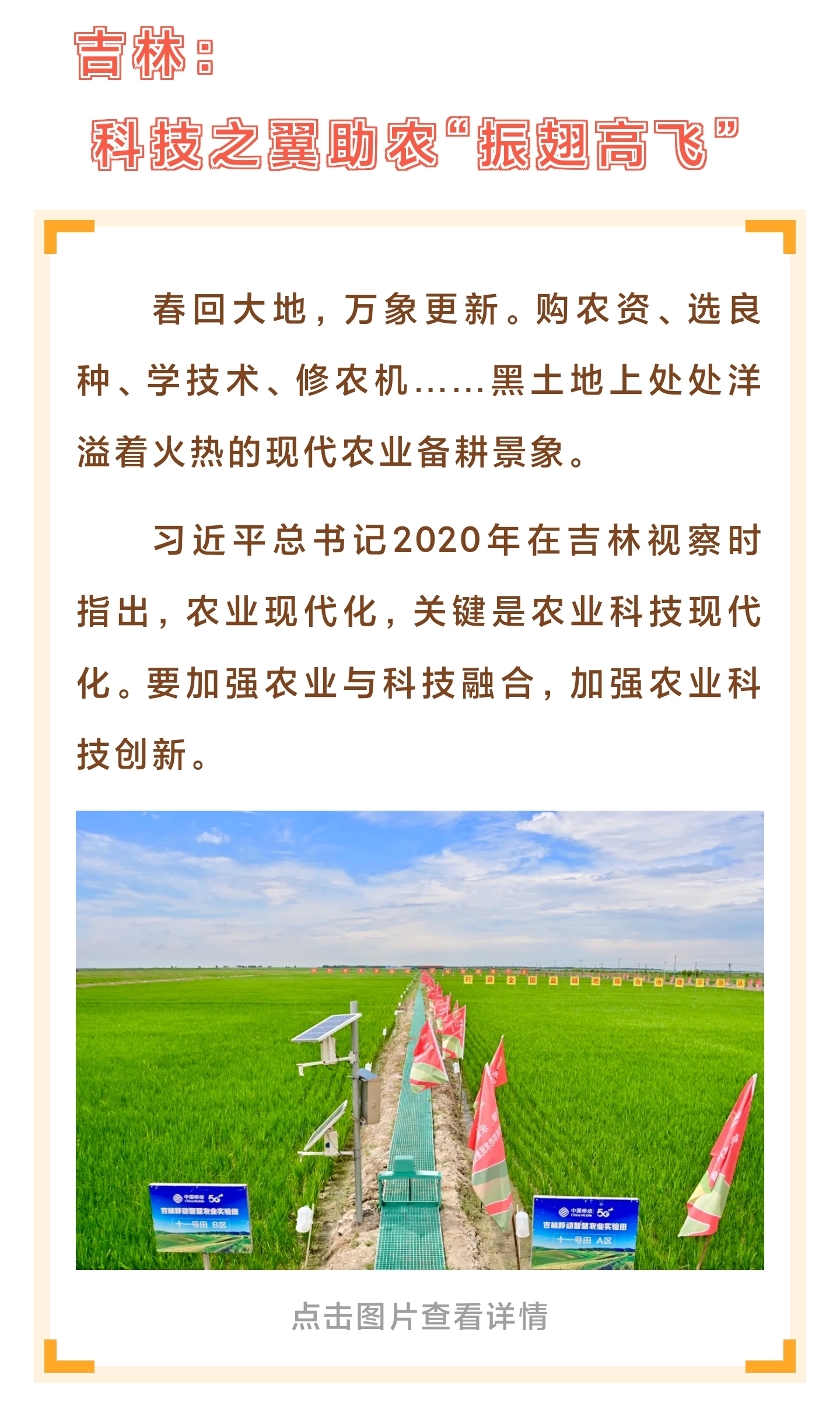 2024·百姓身边科技事｜藏粮于技端牢“中国饭碗”