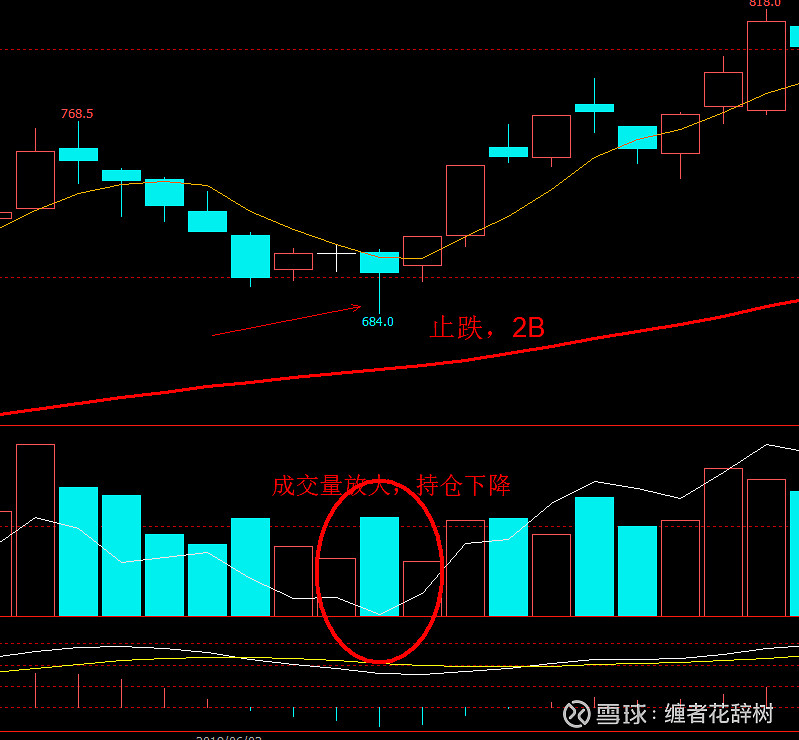 12月26日豆一期货持仓龙虎榜分析：多空双方均呈进场态势