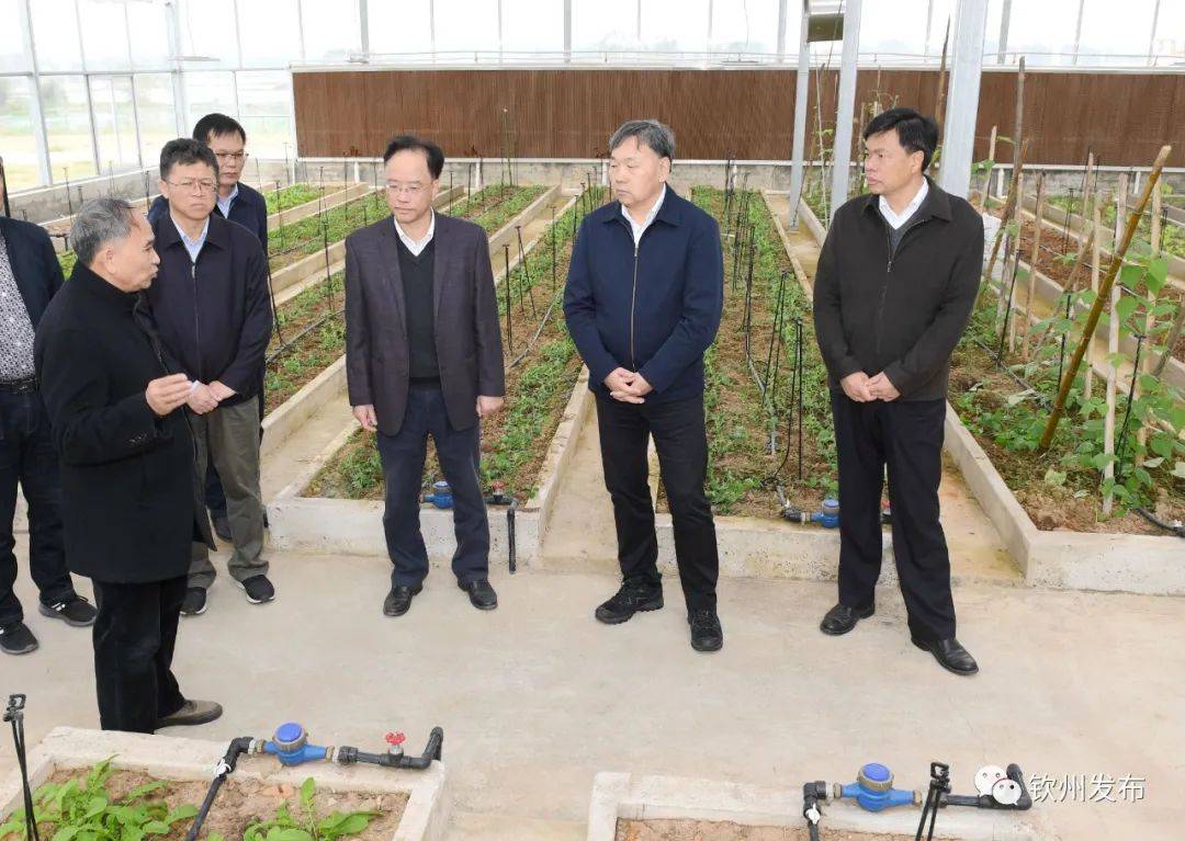 佛得角与欧盟举行第十三届部长级会议