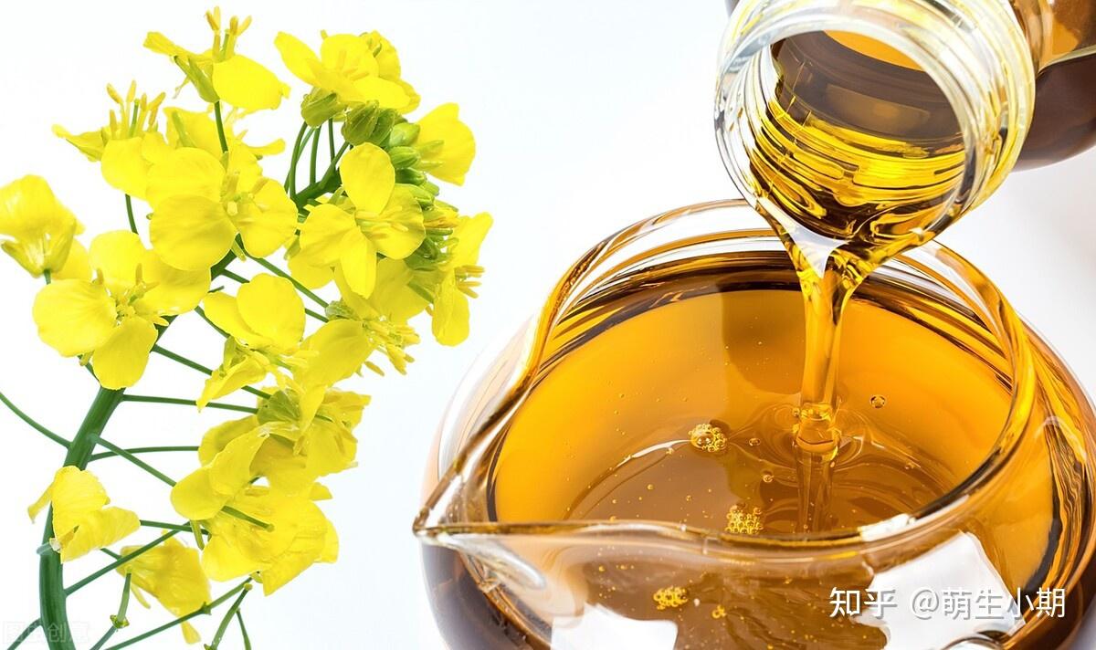 菜籽油期货3月3日主力小幅上涨0.58% 收报8855.0元
