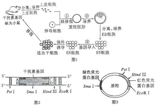 洁特生物获得外观设计专利授权：“包装盒（卵母细胞采集器-02）”