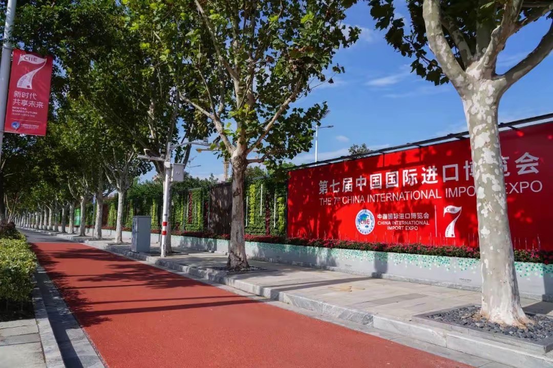 谢亚静参赞出席第八届进博会推介会并演讲