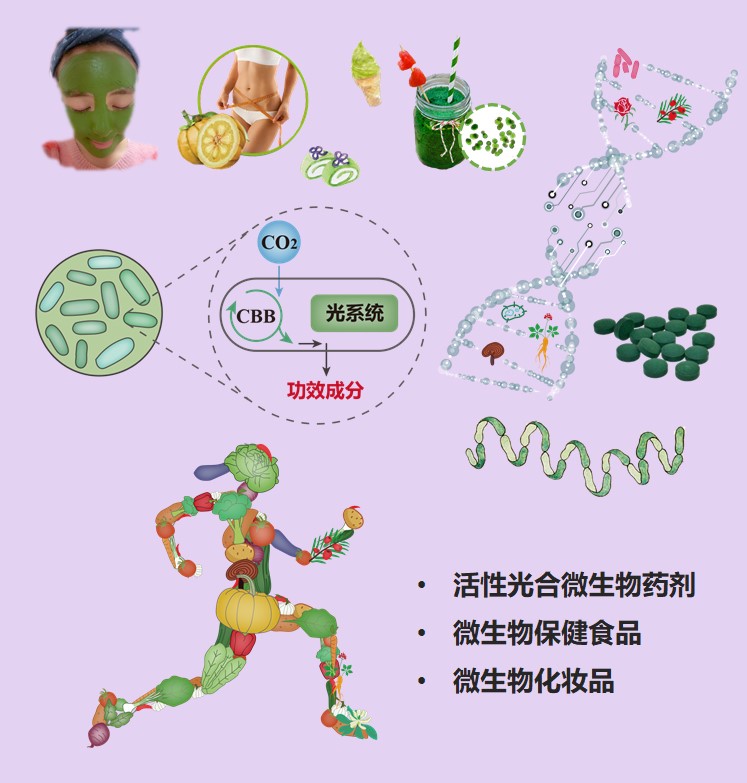 光学微腔新制造法助力探索光与物质相互作用