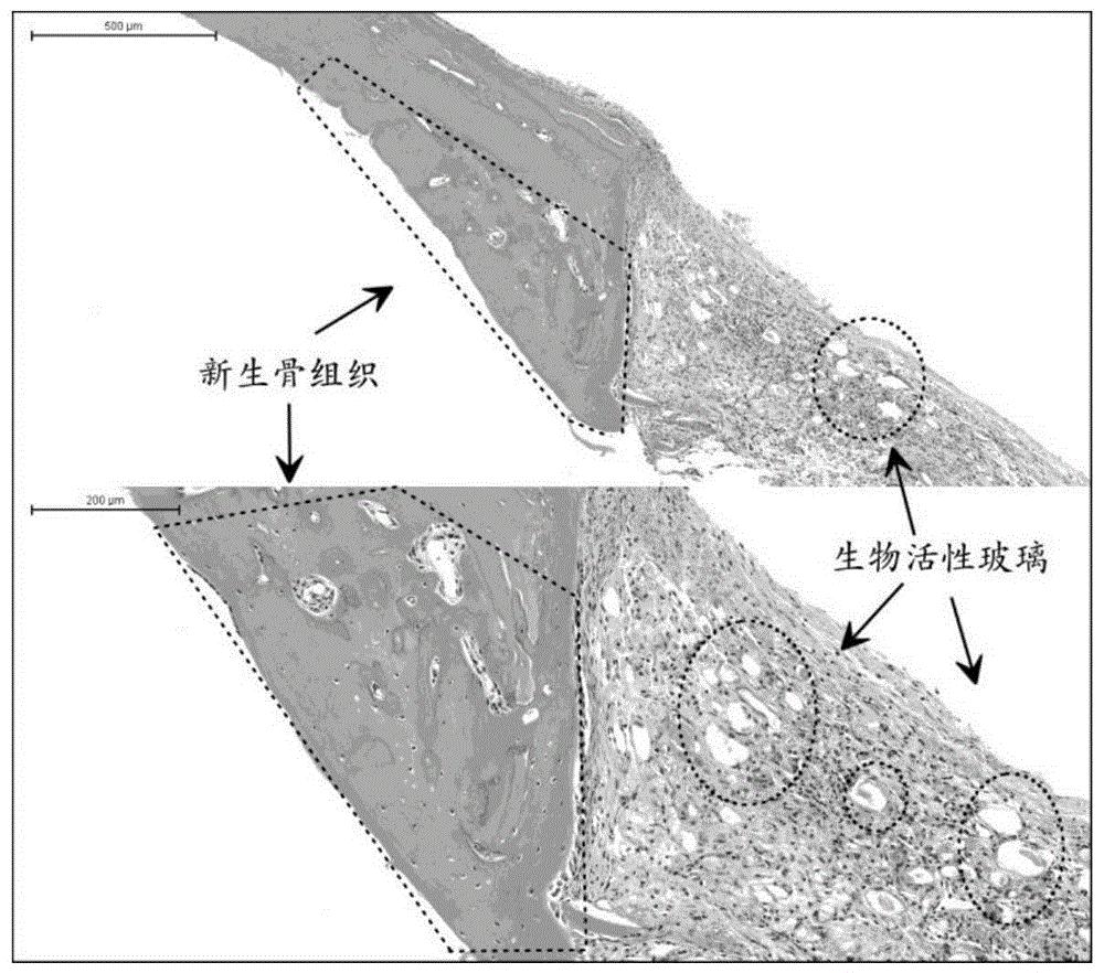 润禾材料获得发明专利授权：“抗菌吸湿柔软剂及其制备方法”