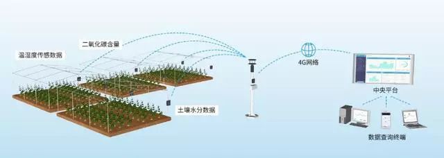 农业十大领域建立全国科学数据观测网络