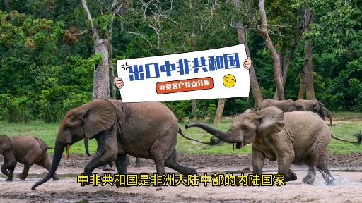 中部非洲国家央行（BEAC）欲借力中非共和国增强黄金储备