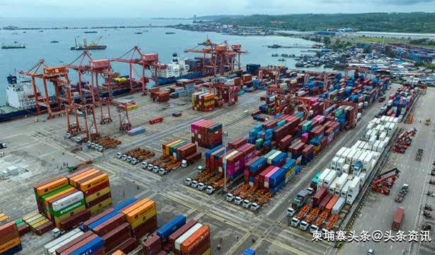 柬埔寨橡胶产业上半年创收超3亿美元