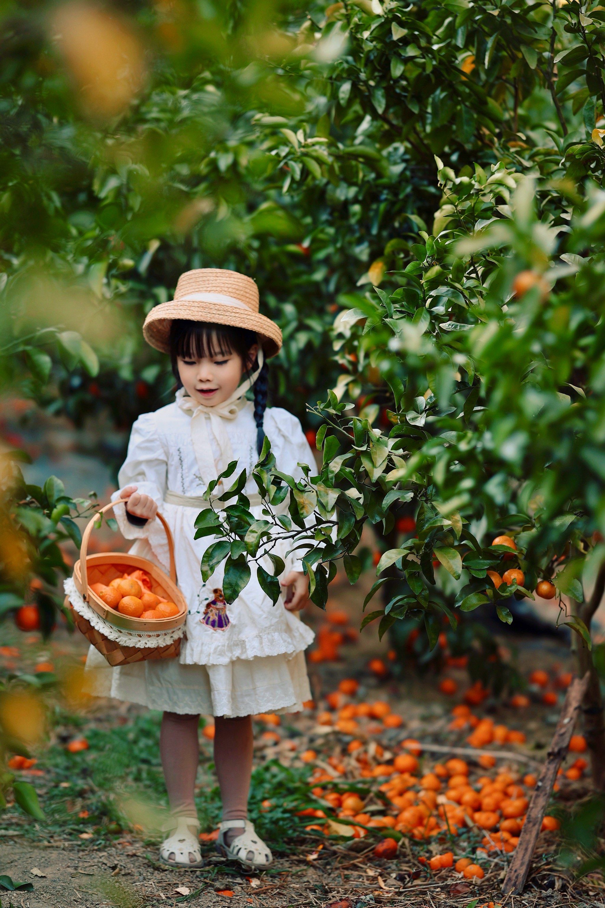 科技搭桥 畅通柑橘亿元产业路