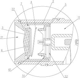 国林科技获得实用新型专利授权：“一种臭氧水处理装置”
