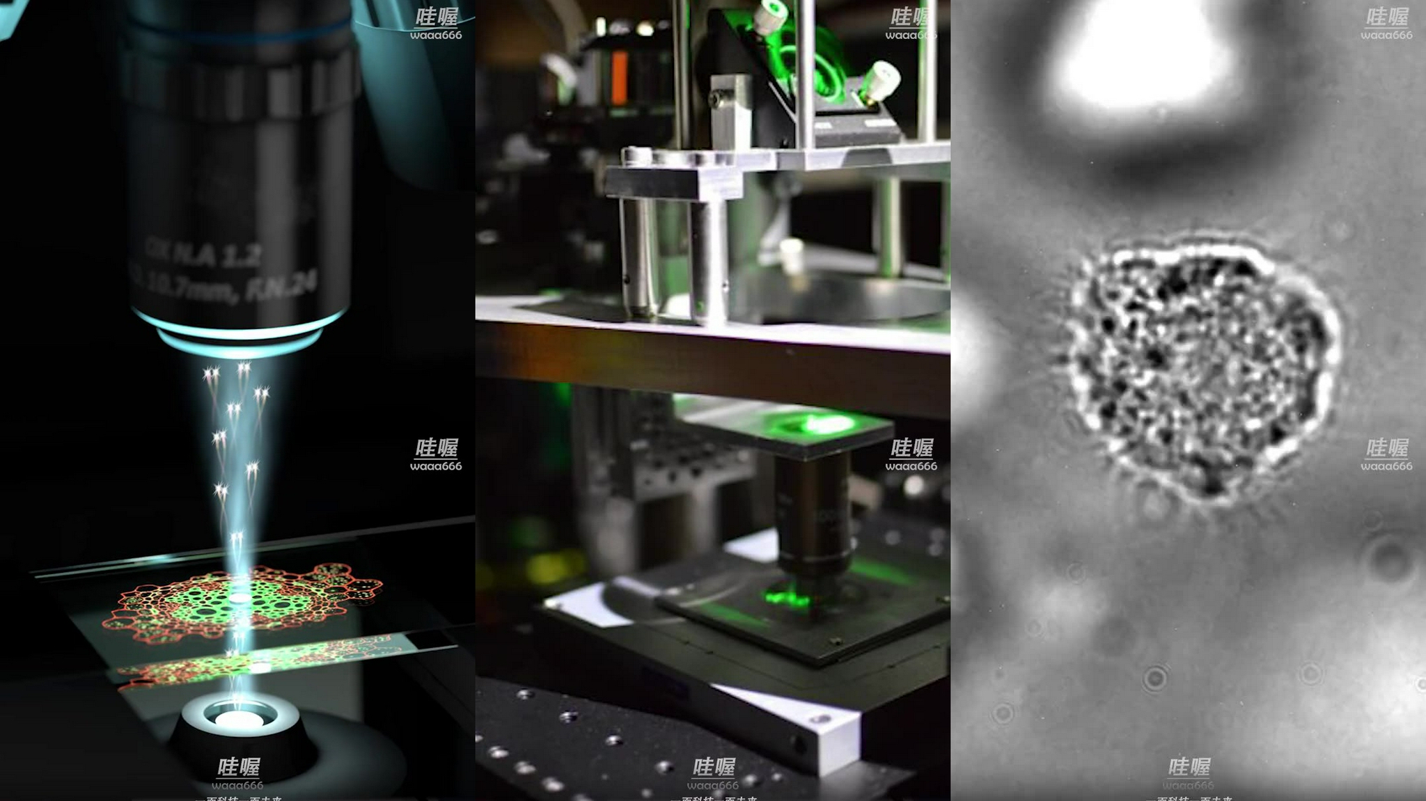 药物研发装上“量子显微镜”