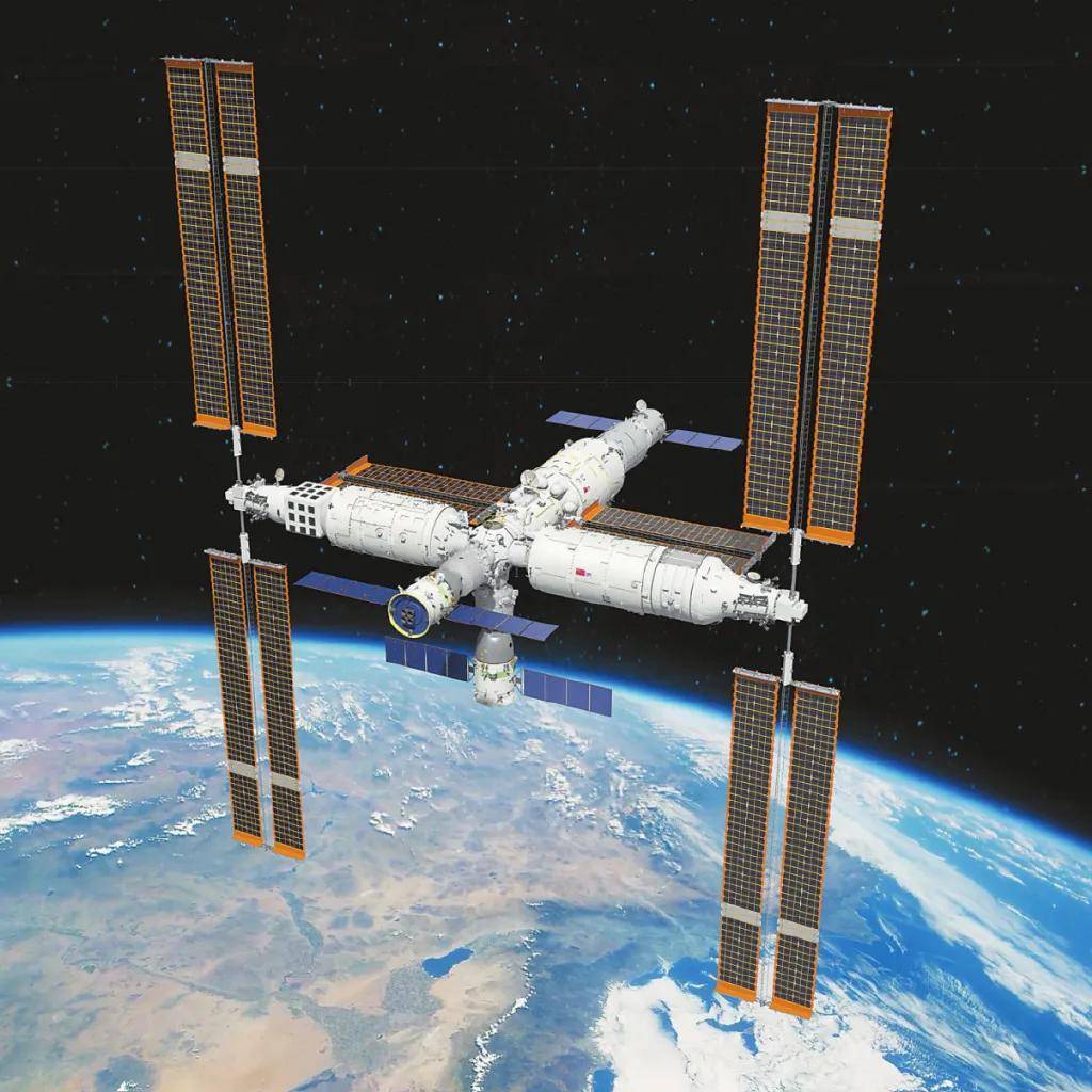 神舟二十一号｜4只小鼠已选定！我国首次送小鼠进入“太空家园”