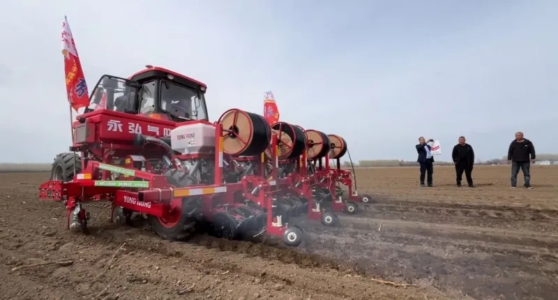 新疆玉米密植技术破高产纪录，现存玉米相关企业超8.5万家