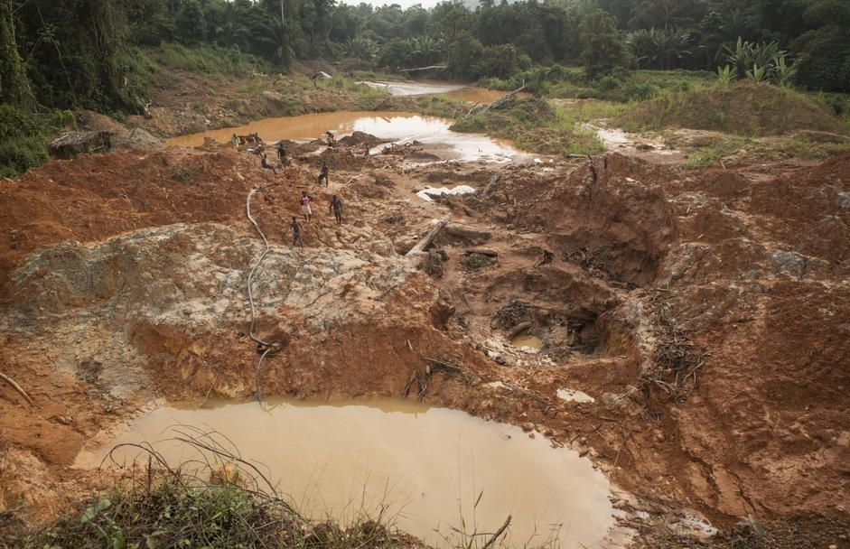 加纳每年进口近八万吨鱼类