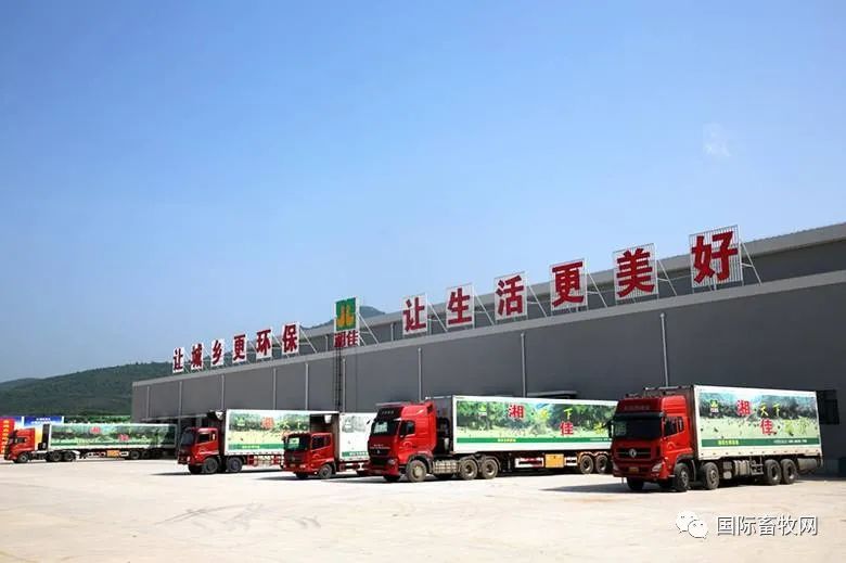 湘佳股份：8月中下旬开始活禽市场行情回暖