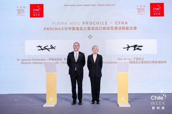 智利位列2025年全球税收竞争力第28位