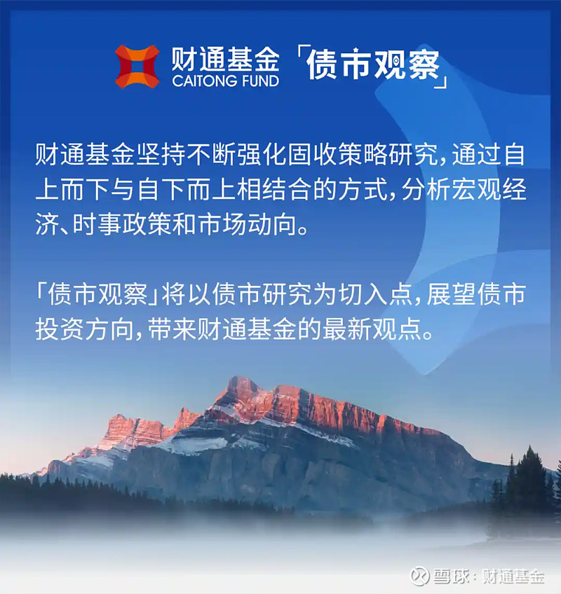 债市日报：11月19日