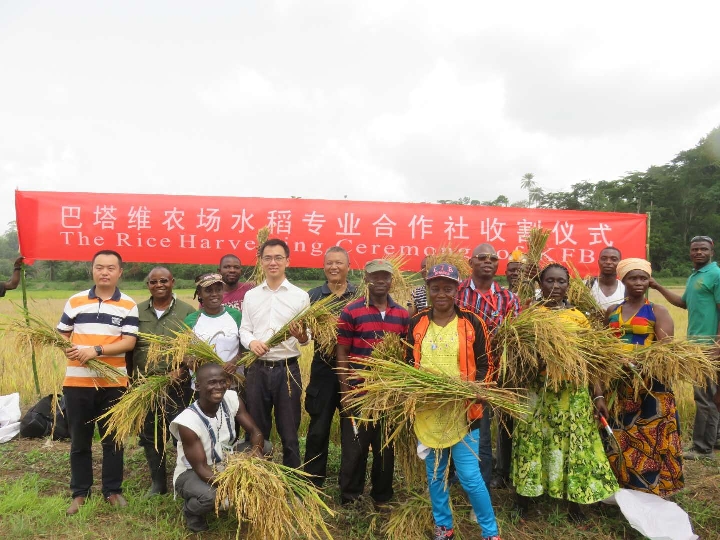 利比里亚成立碳市场管理局，推动气候资源变现