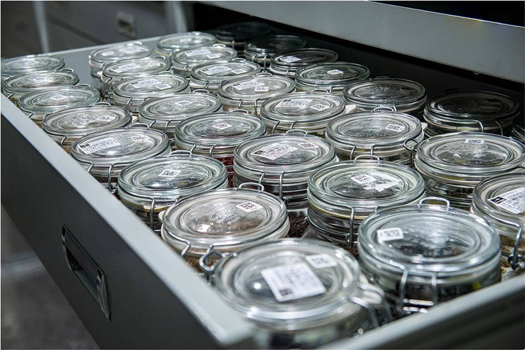 国家野生植物库辰山中心：种子存量突破一亿粒