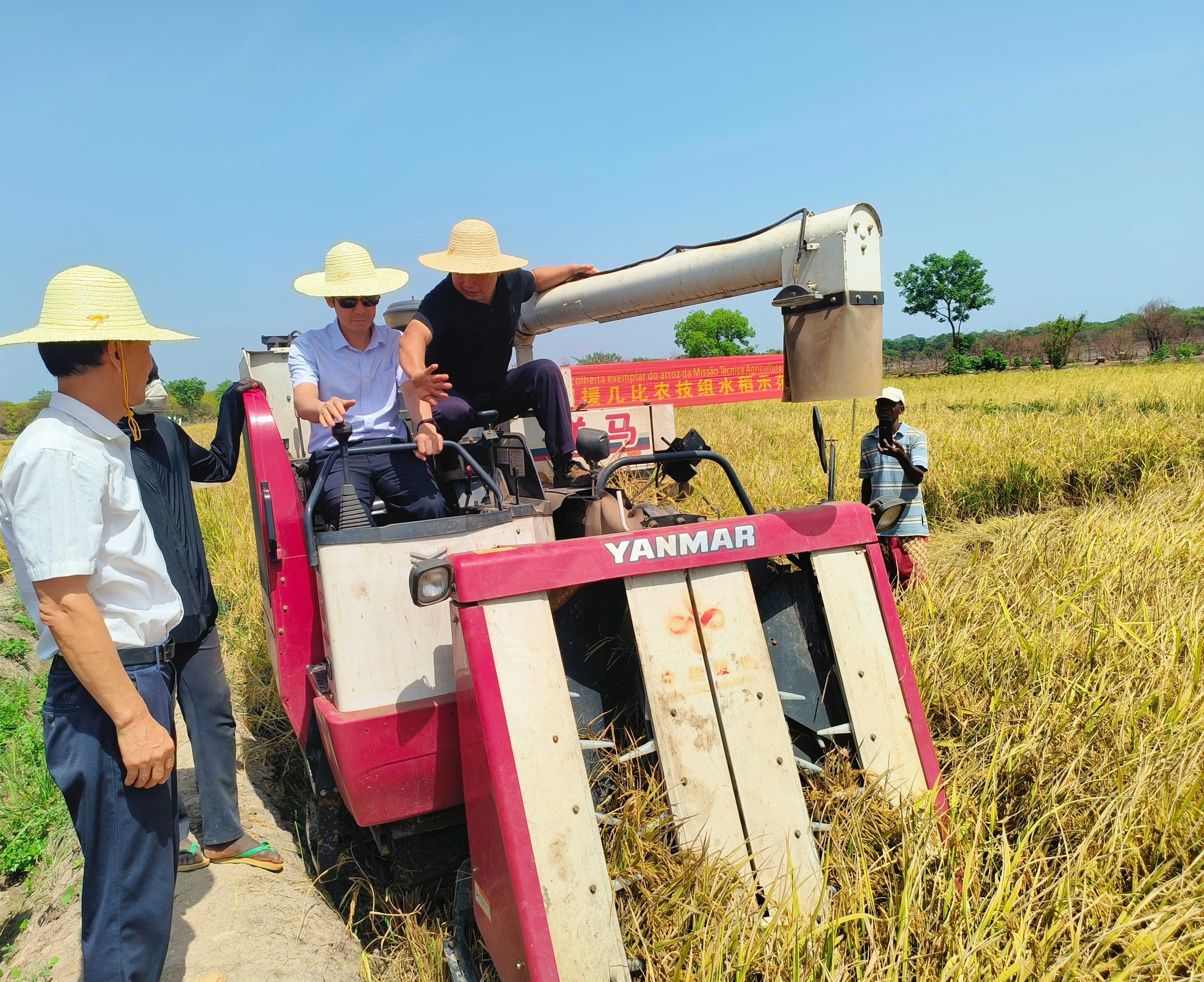 驻几内亚比绍大使杨仁火出席几比中资企业联合会揭牌仪式