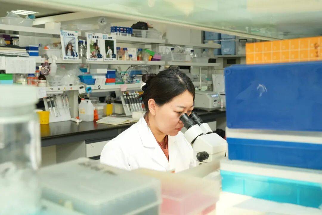 我国科学家揭示远缘花粉与雌蕊柱头的识别机制