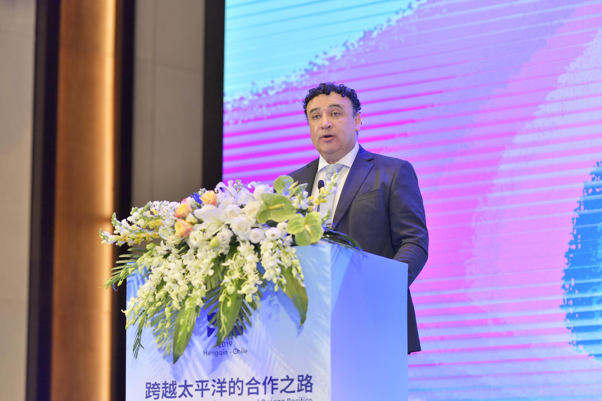 智利环境评估局建议批准Kimal-Lo Aguirre高压输电项目