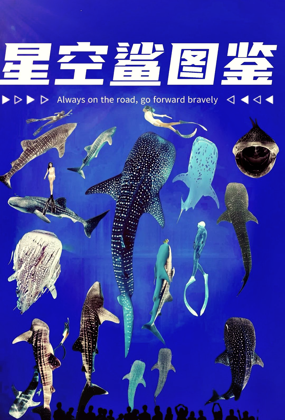 研究：多种鲸和海豚受“永久性化学物质”广泛污染