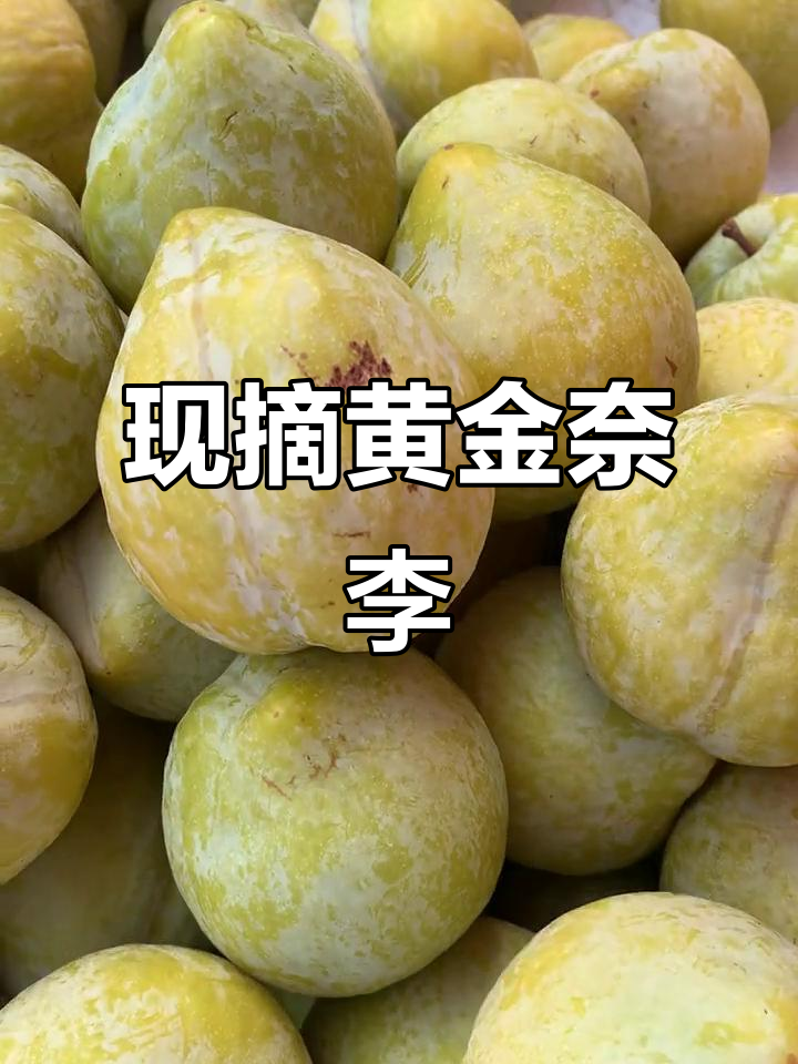 湖南黄金(002155.SZ)：控股子公司新邵四维取得采矿许可证