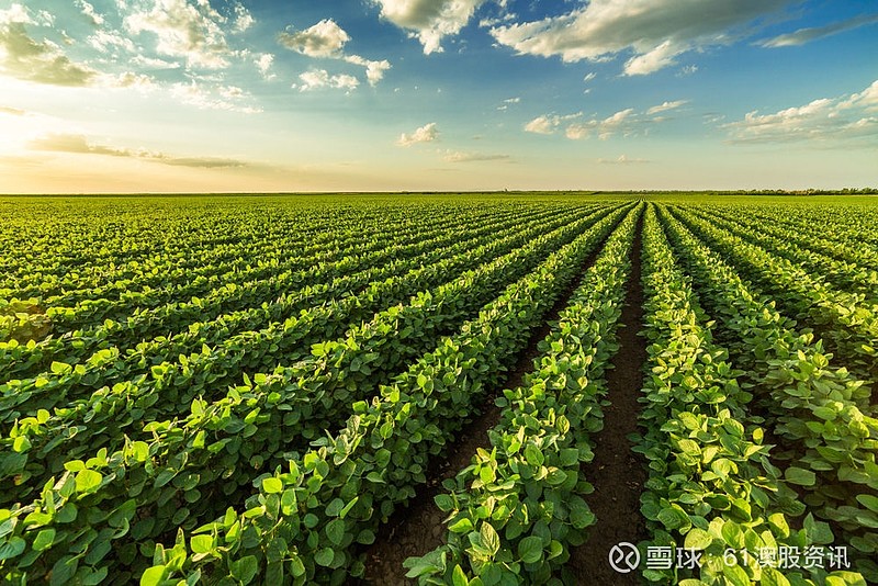 马绿色环保税收入同比几乎翻番