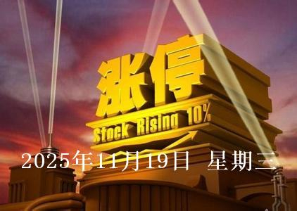 真爱美家：截至2025年11月30日持有人数为14882人