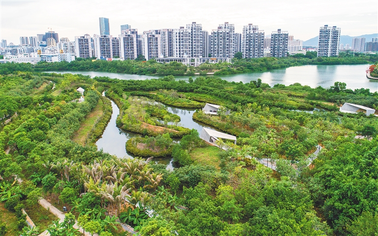 海南瑞泽：未参与洋浦港建设及参股