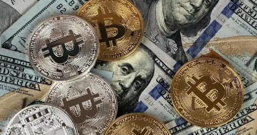 2025年1-9月,波兰农产品出口额同比增长8.4%,达到431亿欧元