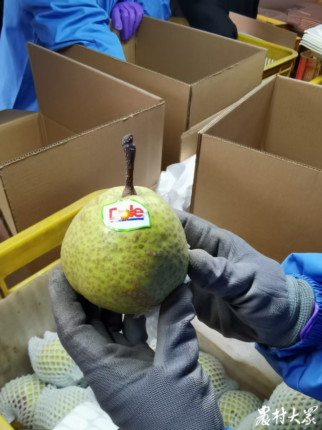 奥克股份：海南项目达产并以东南亚出口为主