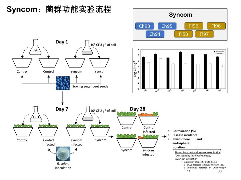 病菌也有“营养品”？科研团队为作物病害提出“抗营养”防控思路