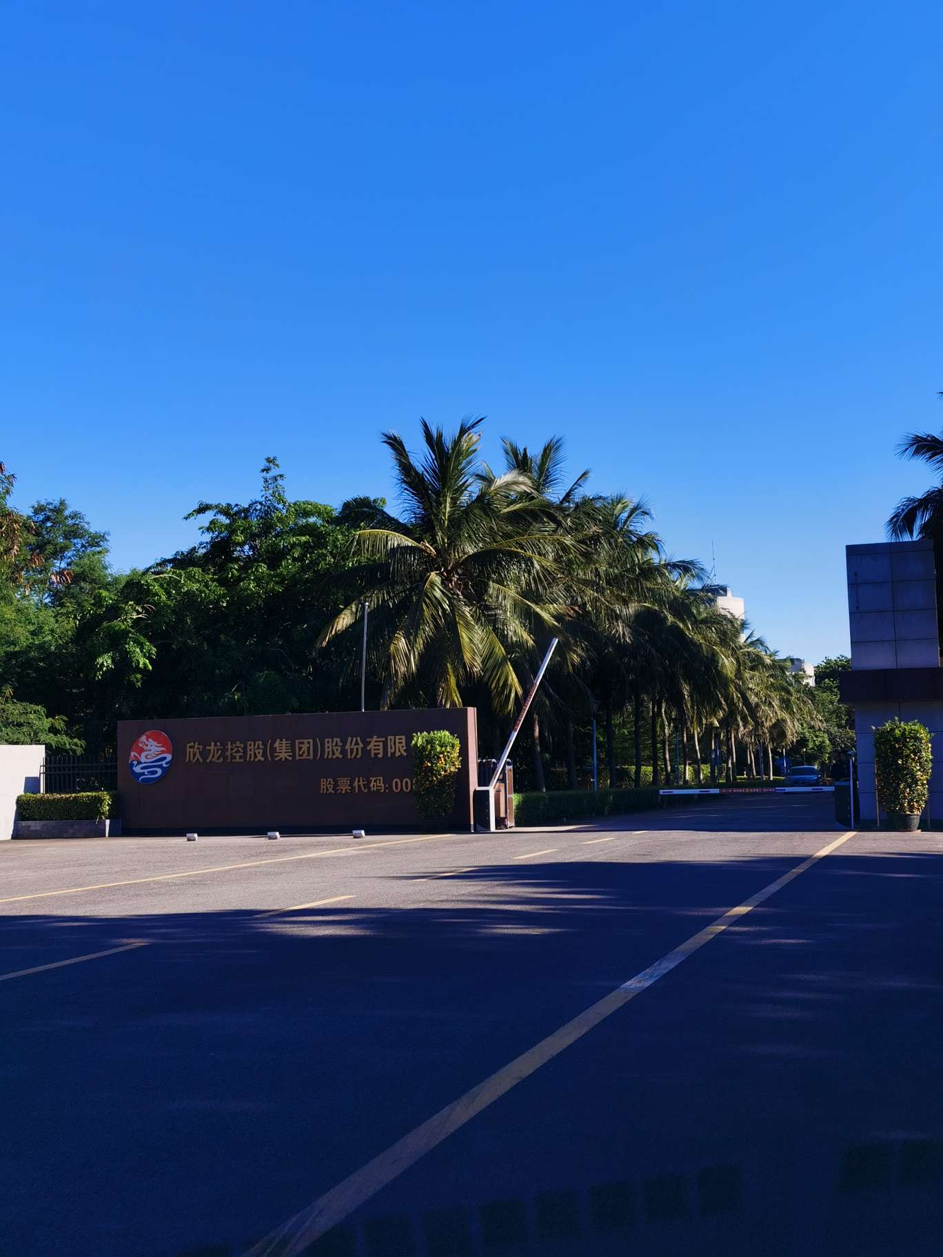 欣龙控股：截至2025年12月19日股东户数为50,600户