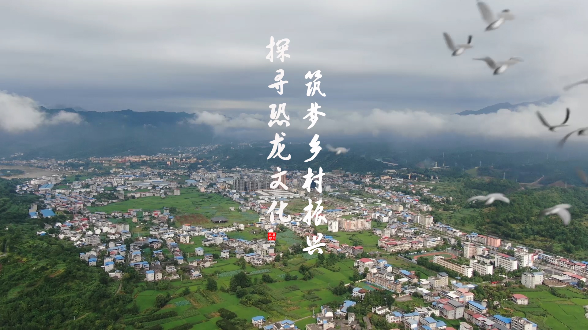 中国在北纬18度探寻种业“振兴密码”