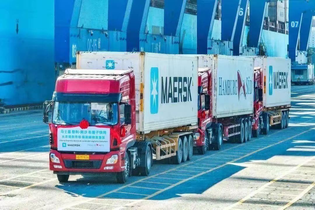 智利樱桃产业努力创新满足中国市场需求