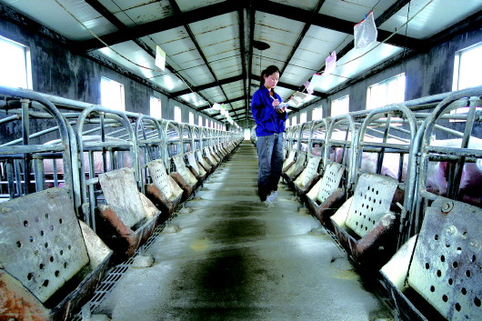 产品筑基 创新致远：得利斯书写高质量发展新篇章