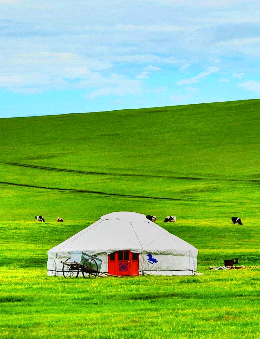 晓鸣股份：2024年产品出口目的地国家为蒙古国