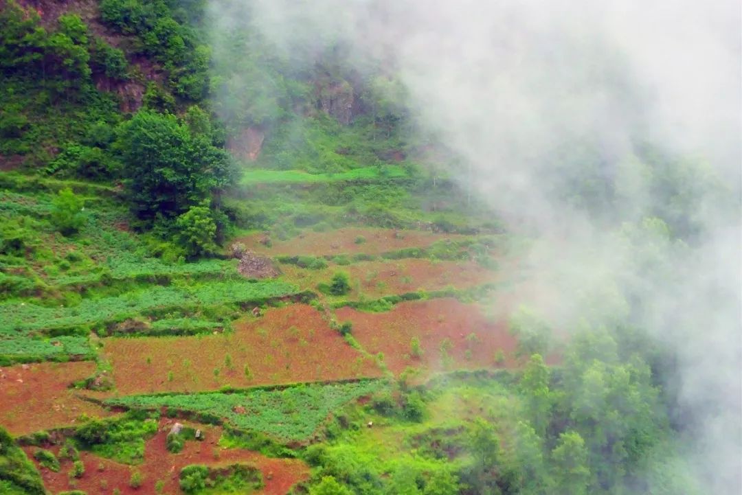 高速公路铺“地暖”！大小凉山间的这条路满满科技感