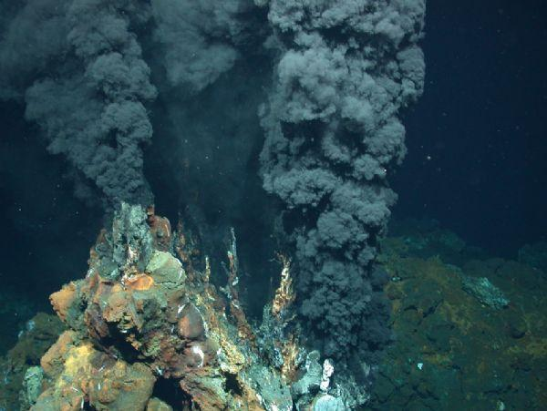 新研究：珊瑚礁对周边海域微生物产生“日节律”影响