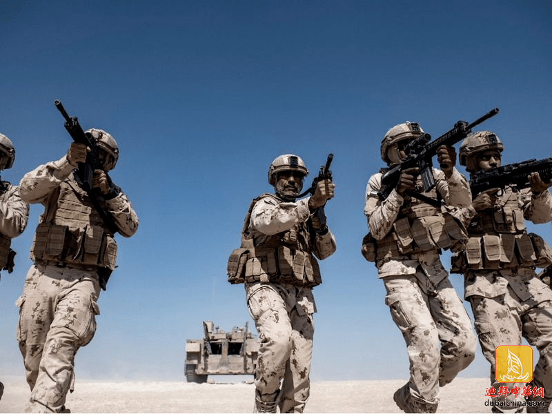 世卫组织：阿联酋树立高效医疗典范