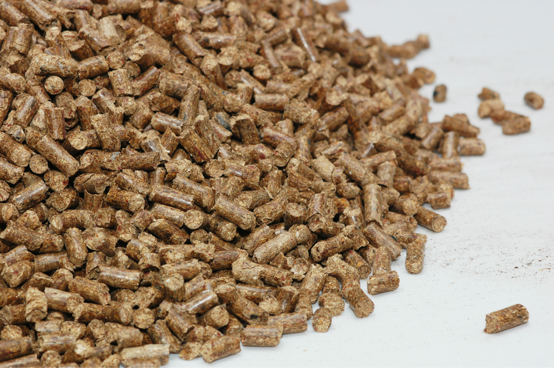 南网能源：藤县生物质公司计提信用减值损失7686万元