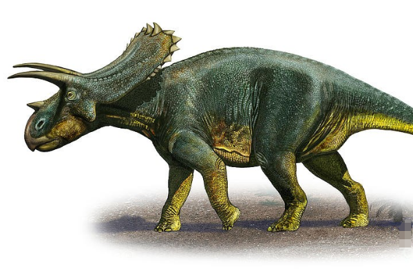 新发现证实角龙类恐龙曾生活在白垩纪晚期的欧洲