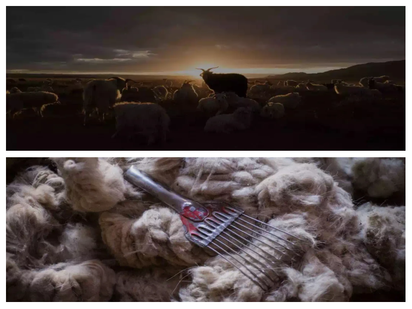 2025年11月蒙古羊绒价格同比上涨0.9%