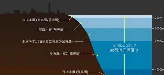 研究发现格陵兰睡鲨可对抗心脏衰老影响