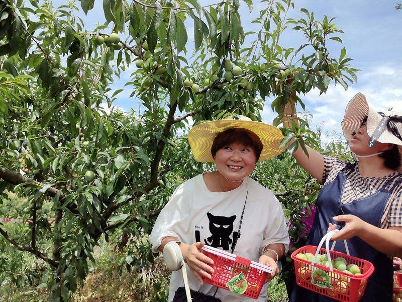 李子园：关于“李子转债”预计触发转股价格修正条件的提示性公告